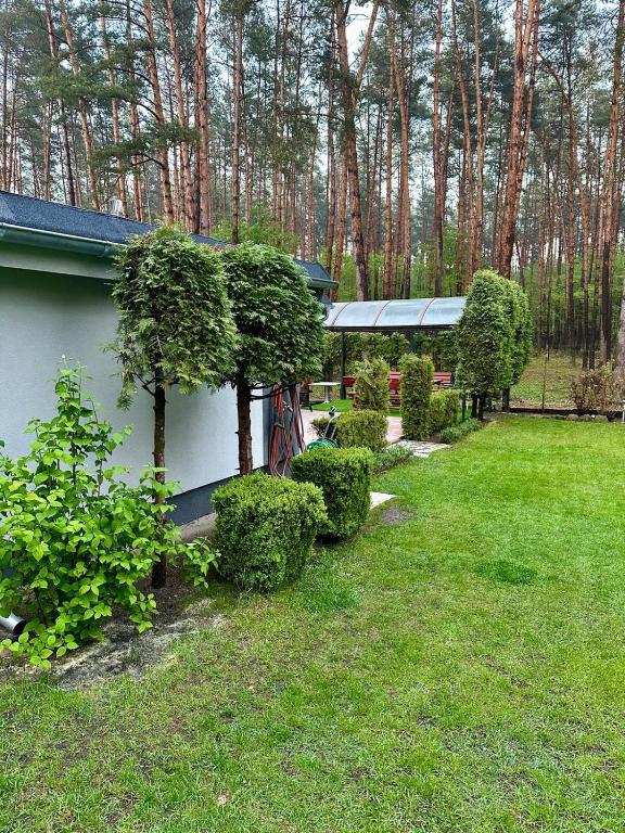 a yard with bushes and a building with a tree at Kamińsko 640 - Puszcza Zielonka in Kamińsko