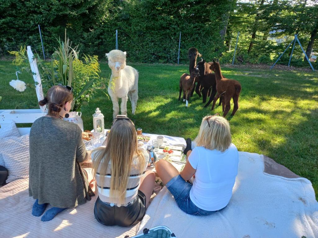 a group of women sitting at a picnic table looking at horses at Sweet Home Alpacas in Timelkam