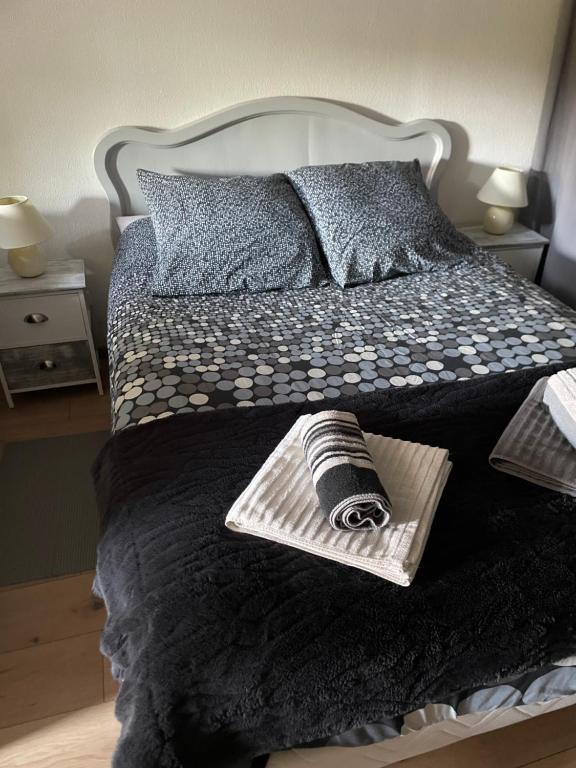 a bedroom with a bed with a black comforter at Charmant studio dans maison privée in Apprieu