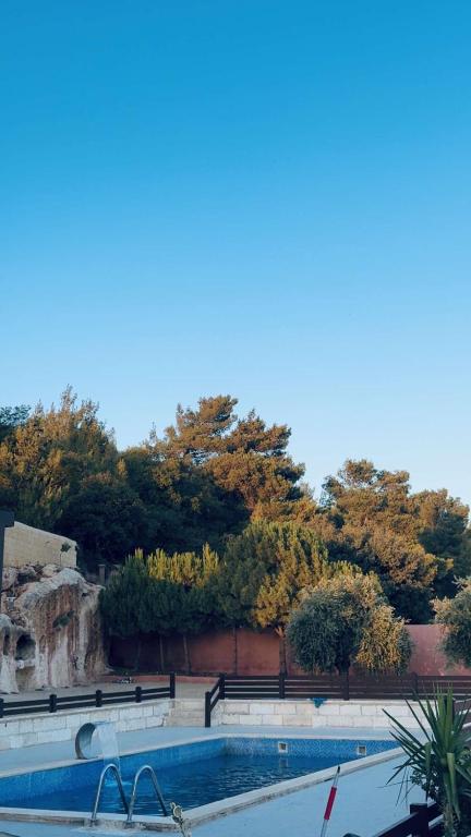 a large swimming pool with trees in the background at El Shibli Chalet in Jerash
