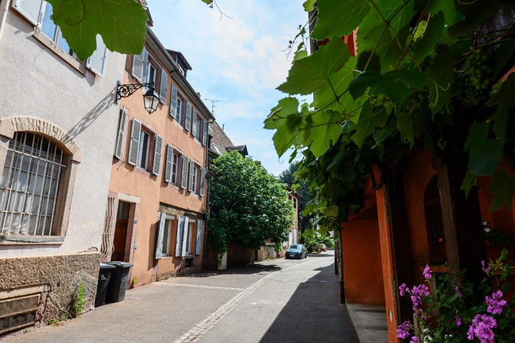 Le Nid d'Alspach – Foto 26
