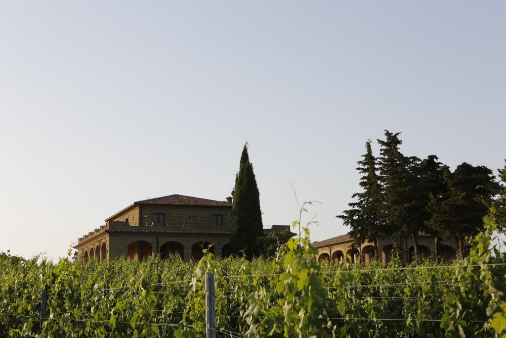 Vonkajšia záhrada v ubytovaní Agriturismo Poggio Al Tufo