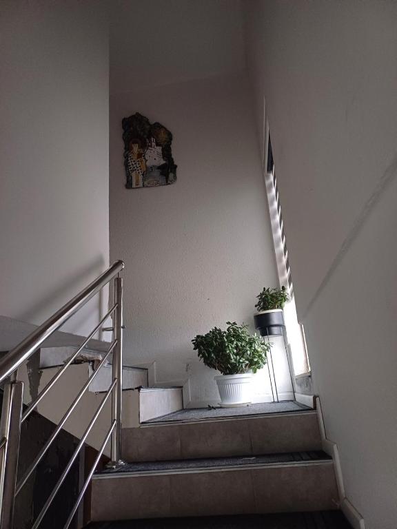 two potted plants sitting on the stairs in a building at Apartman Miljan in Trebinje