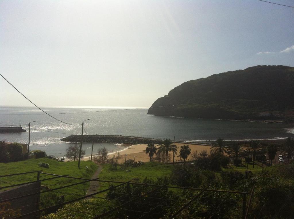 a view of a beach with palm trees and the ocean at House on the Beach in Machico