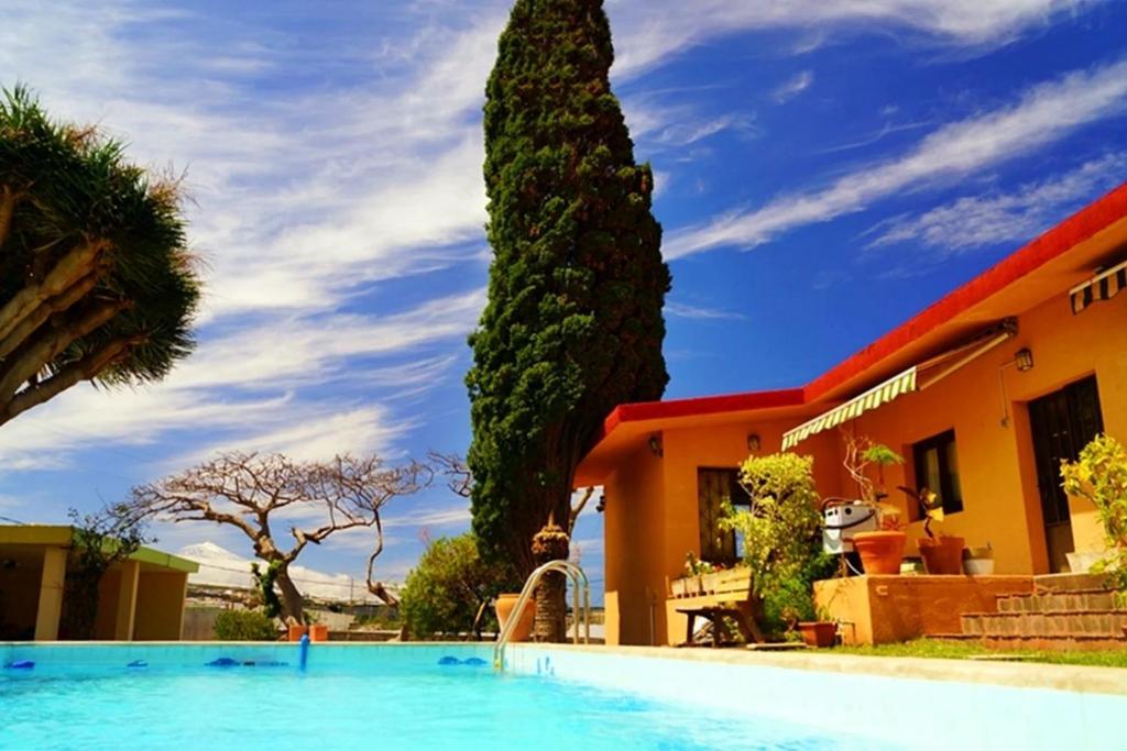 a palm tree next to a house with a swimming pool at Guayaba Hostel in Las Lagunas