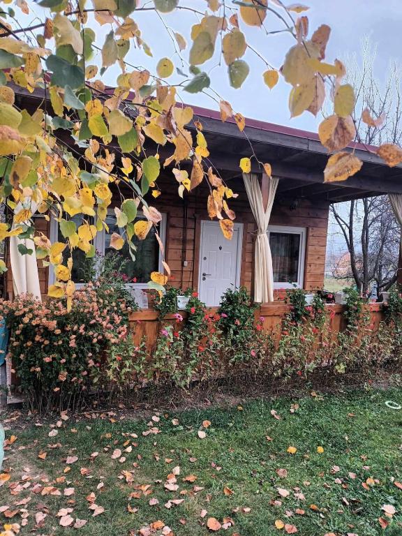 a house with a bunch of flowers in front of it at Bungalow Maria&Razvan in Pângărăcior