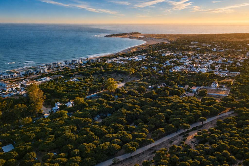 an aerial view of a beach with trees and the ocean at Kampaoh Los Caños in Los Caños de Meca