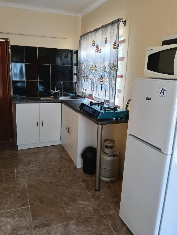 a kitchen with a white refrigerator and a microwave at Phezulu Air B & B in Richards Bay