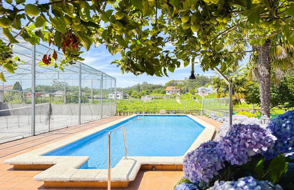 a swimming pool in a yard with purple flowers at A casa dos Viñedos, finca con piscina privada in Bayón