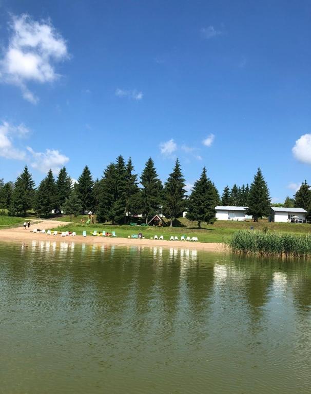 a group of animals standing on the shore of a body of water at Ryn Lake Resort 2 in Ryn