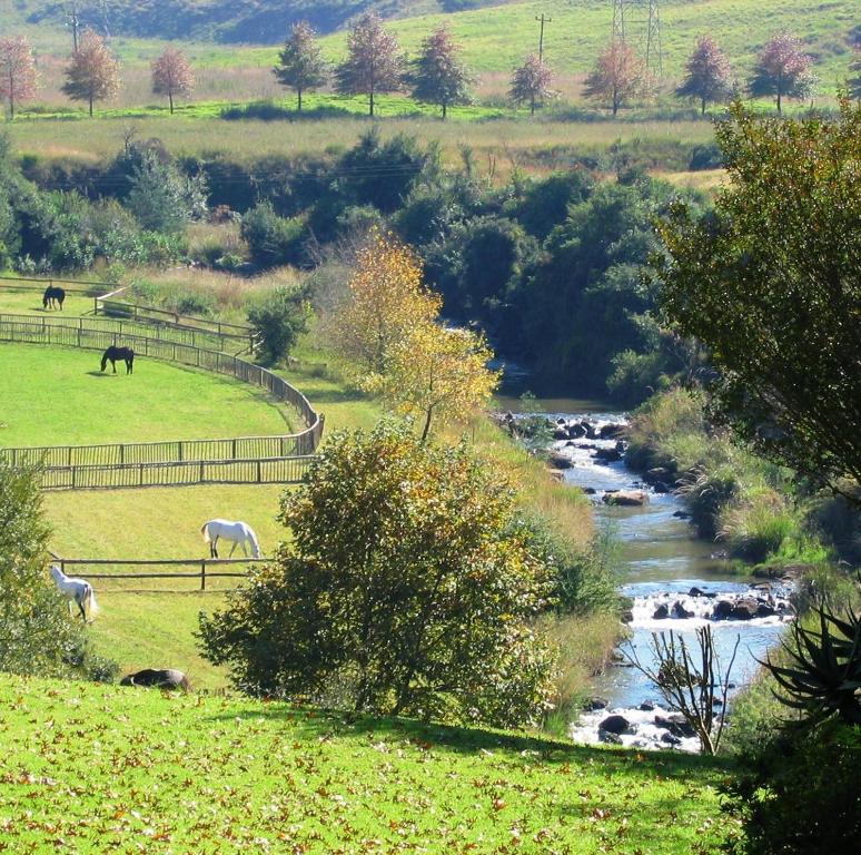 Gallery image of Mill Cottages in Lidgetton