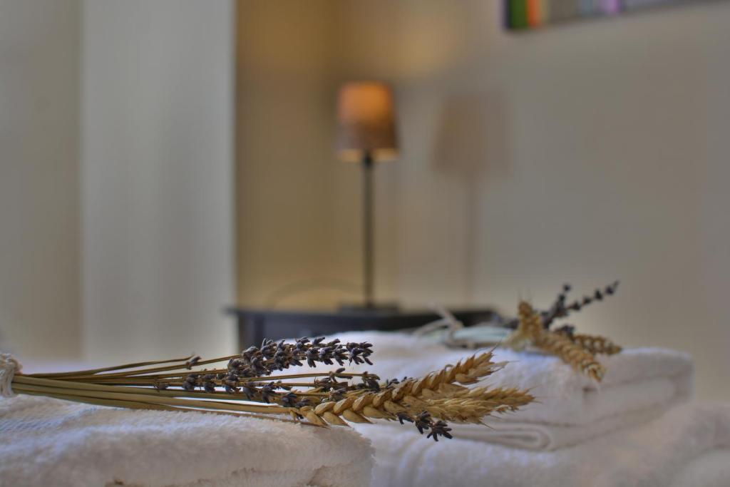 Fotografie z fotogalerie ubytování Gartagani Guest House v destinaci Stemnitsa