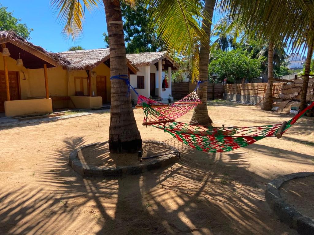 a hammock hanging from two palm trees in front of a house at TravelLodge Eco in Arugam Bay