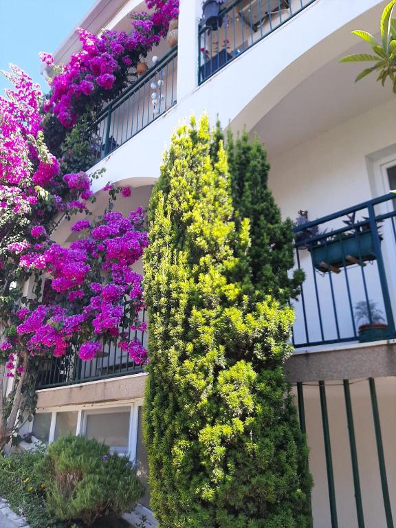 Apartment Marija