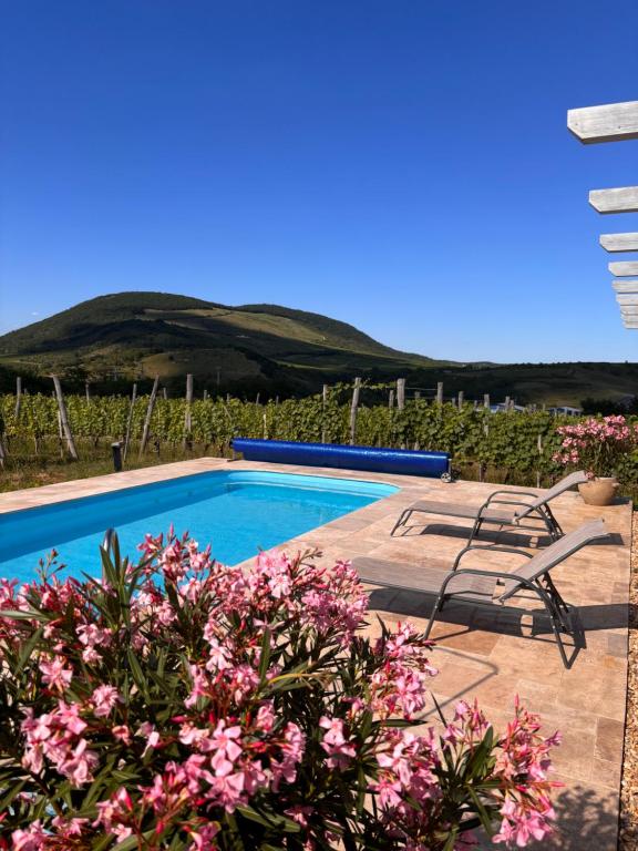 a swimming pool with pink flowers in a yard at Csernus Doki bor-grillterasza és bungallói in Eger
