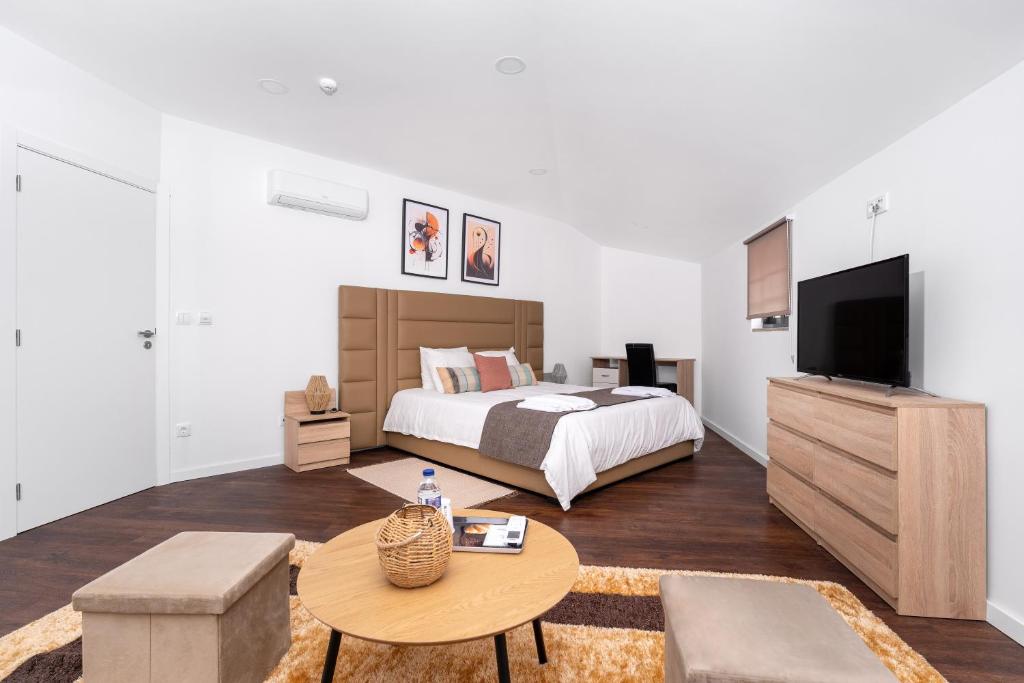 a bedroom with a bed and a flat screen tv at AL Hirondelle in Sernancelhe