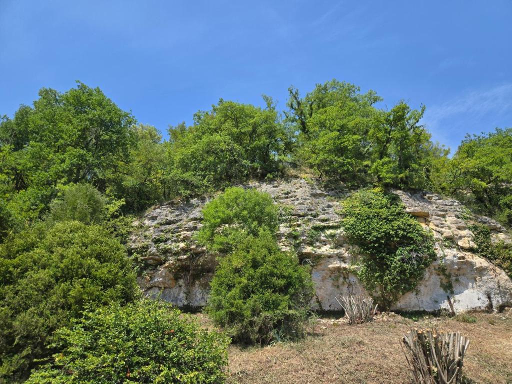 a rocky hill with trees on top of it at Les Rochers de Bayac in Bayac