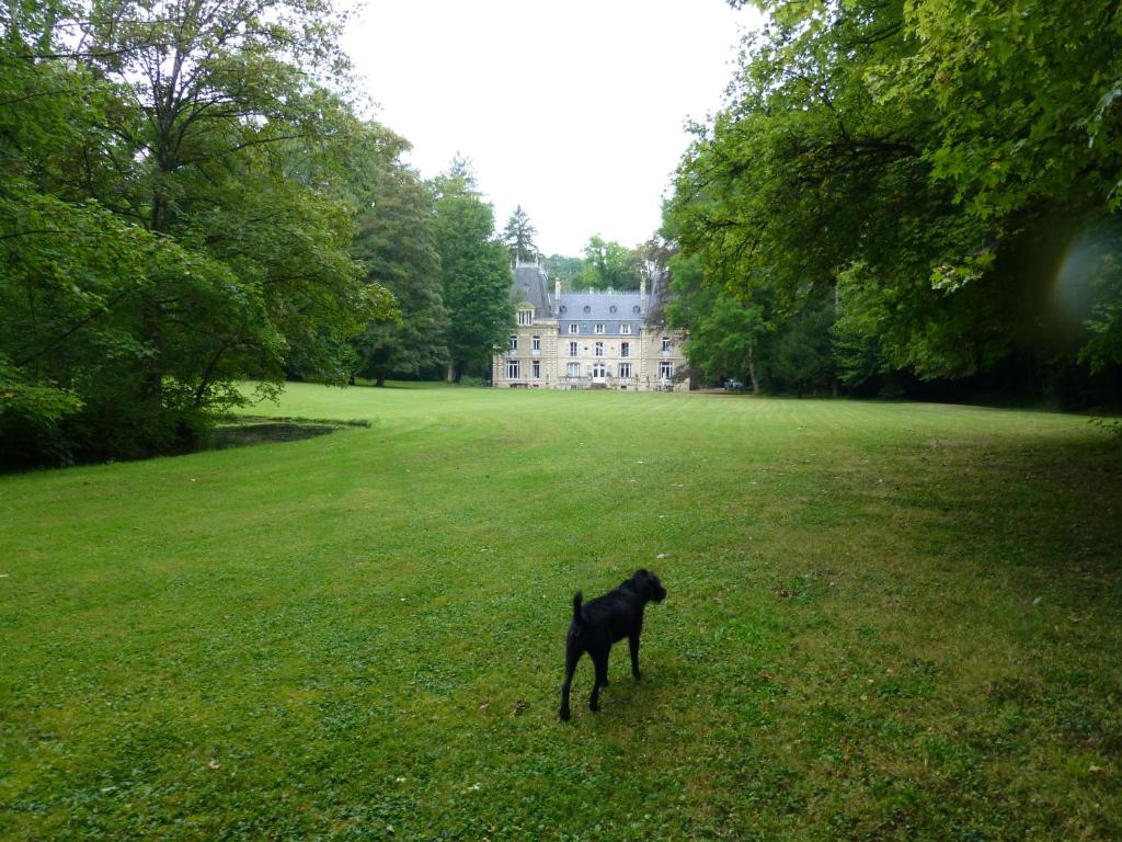 Ein schwarzer Hund steht auf einem Feld vor einem Haus. in der Unterkunft Chateau de la Raffe in Naix-aux-Forges