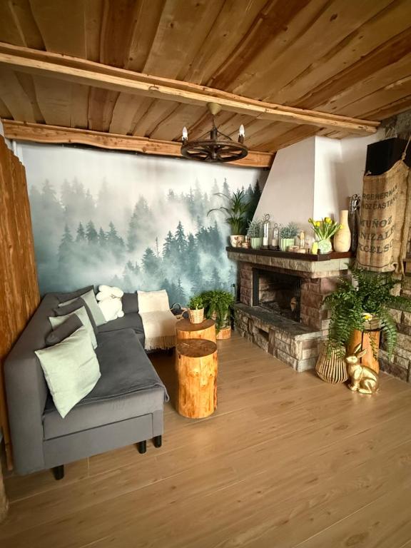 a living room with a couch and a fireplace at Noclegi Pod Muńcołem in Ujsoły