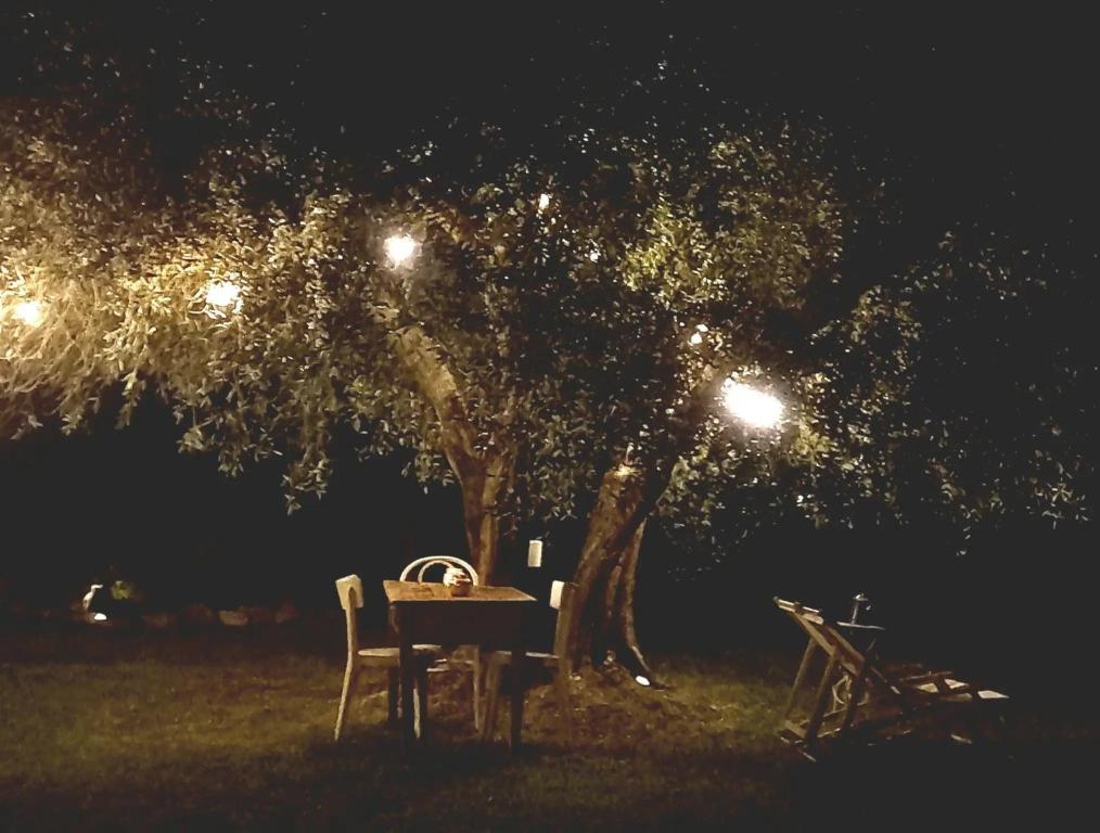 a table and chairs under a tree at night at Giardino Antico in Montecarotto