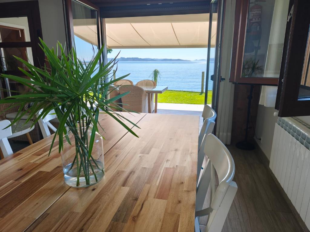 a vase with a plant sitting on a table in a house at Apartamentos Mareventus in Sanxenxo