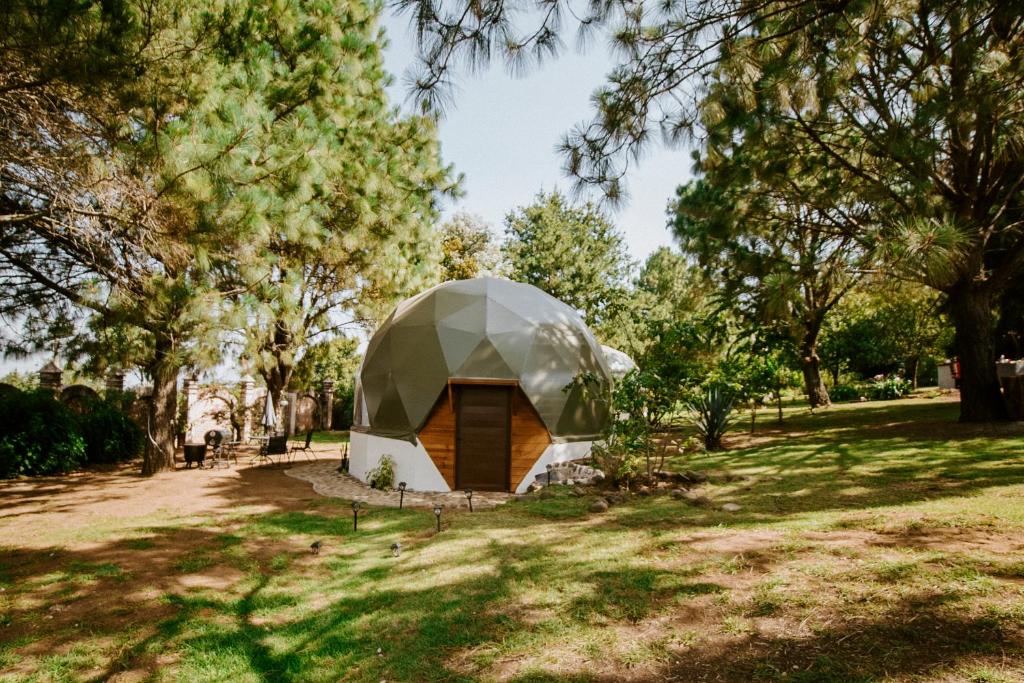 a dome house in a park with trees at Lumbai Glamping Mazamitla in Mazamitla
