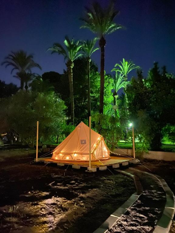 a tent is set up in a park with palm trees at Pink lemon Galmping in Elche