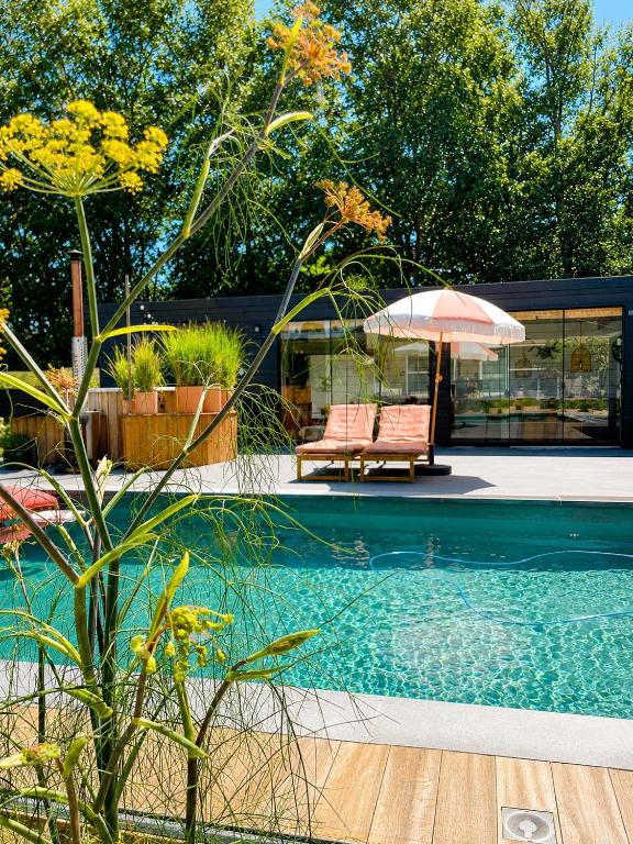a swimming pool with a table and an umbrella at Chambre d Amis in Lokeren