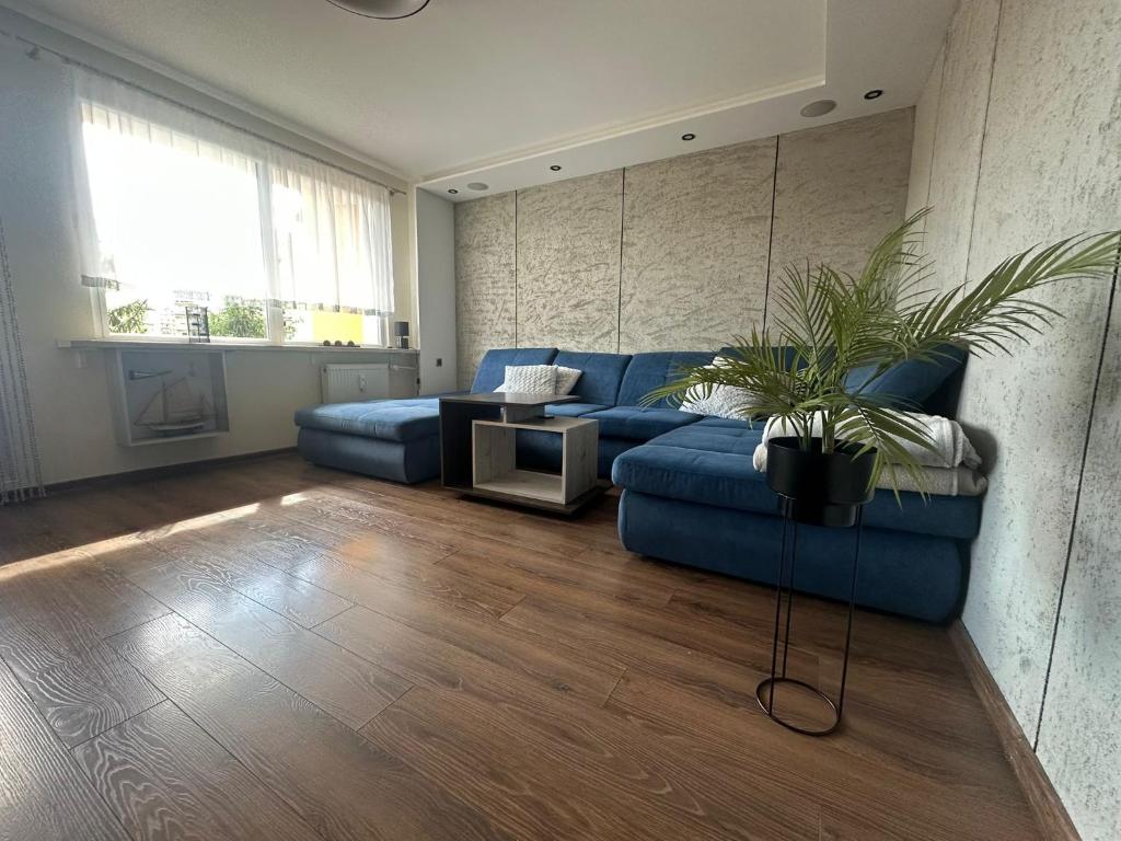 a living room with a blue couch and a tv at Apartament Palisadowa 78 in Wałbrzych