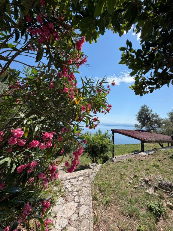 a bench in a park with pink flowers at Apartment Kalikut in Beli