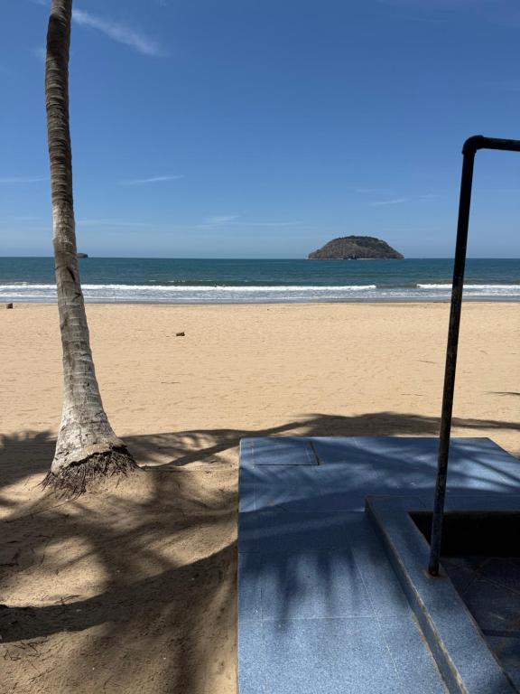 a palm tree on a beach with the ocean at Vacacional Luna Mar in Rincon de Guayabitos