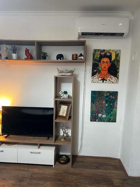 a living room with a flat screen tv on a shelf at Rio II in Zrenjanin