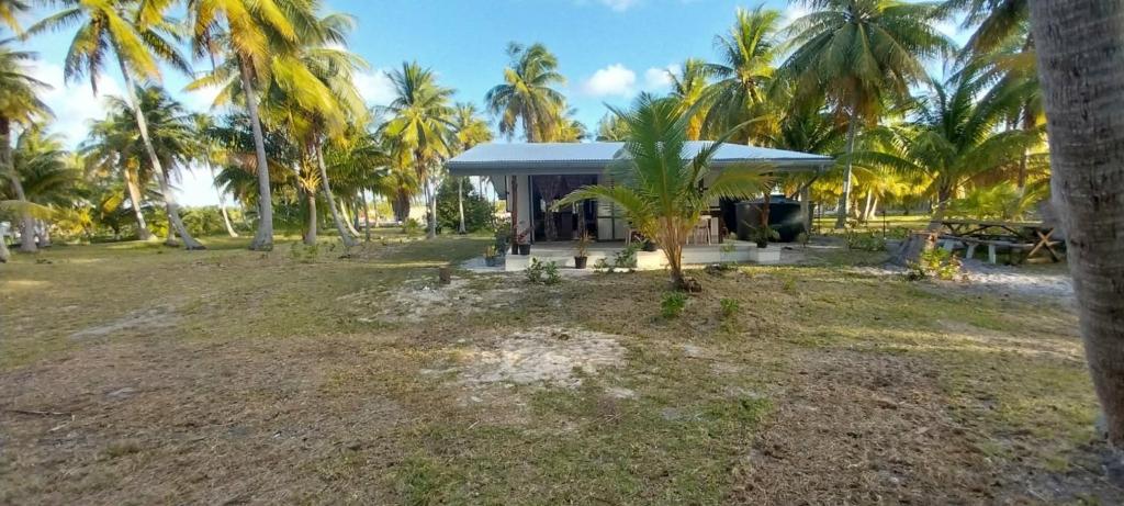 Ô Paki Paki Lodge - photo 9 - Tikehau, Polynésie