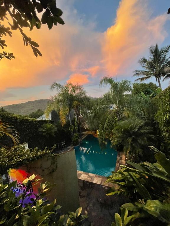 a pool in a garden with palm trees and a sunset at Hotel Camino Surreal Xilitla in Xilitla
