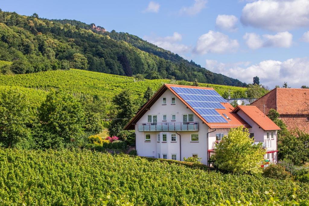 een huis met zonnepanelen op het dak in een wijngaard bij Gästehaus Moni Jäger in Weyher