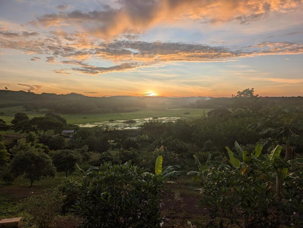 a sunset over a field with the sun setting in the background at Loei Valley Farm Stay in Wang Saphung