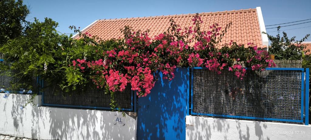 a bunch of pink flowers hanging over a wall at 28 Casa do Avô - 2Km from the beach in Sesimbra