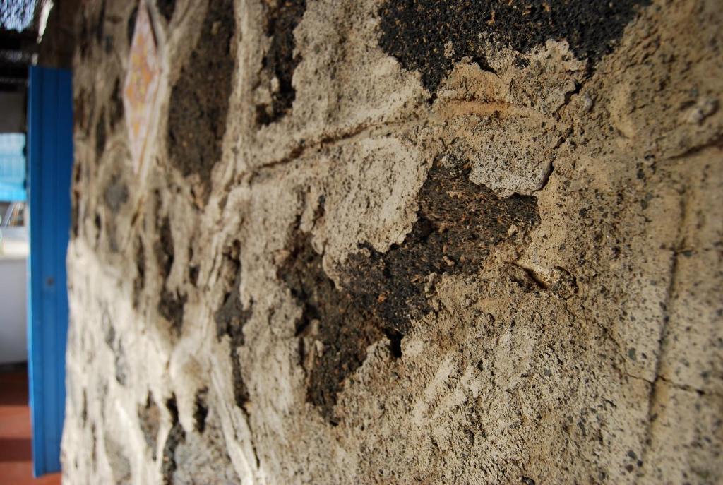 Una pared de piedra con algo de tierra. en Dammusi Punta Fram, en Pantelleria