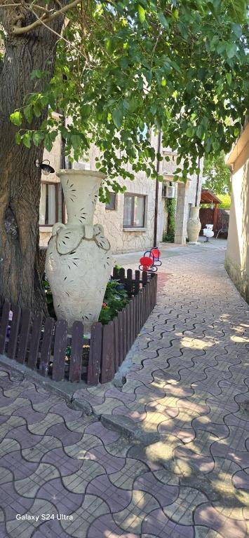 a vase sitting on a wooden fence next to a tree at Casa Ancuta in Eforie Sud