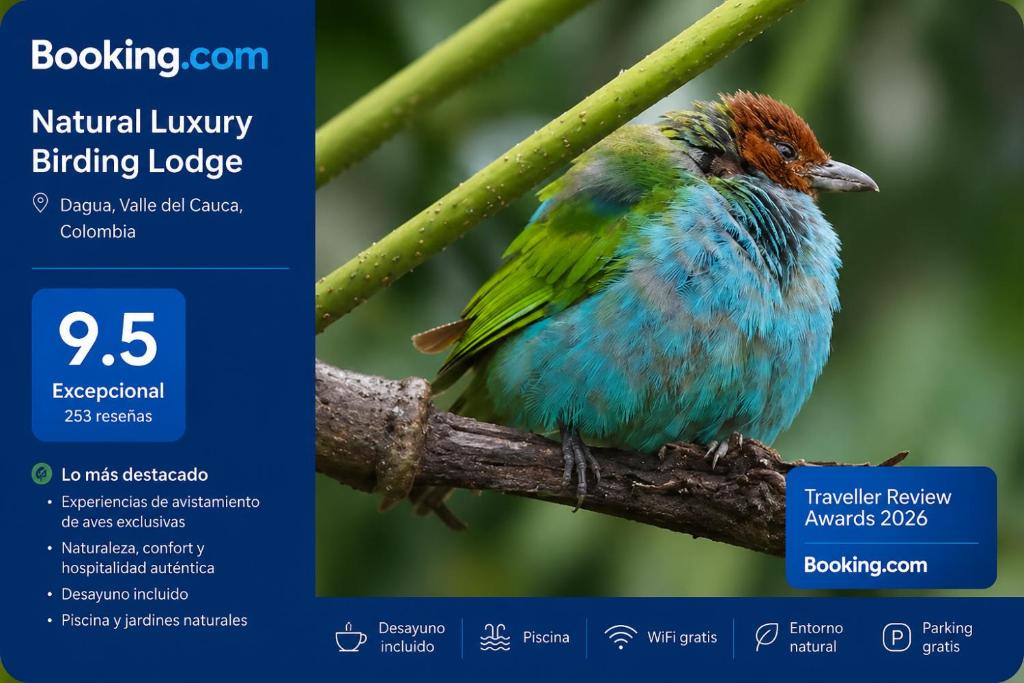 a colorful bird sitting on a tree branch at Natural Luxury Birding Lodge - Premium Birdwatching near Cali in Papagalleros