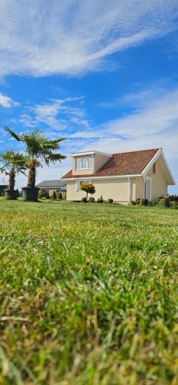 a white house with a palm tree in a field at 3 ruoniai in Palanga