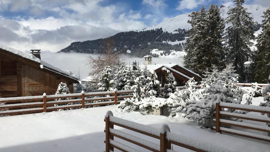 einen schneebedeckten Hof mit einem Zaun und Bäumen in der Unterkunft Verbier Medran in Verbier