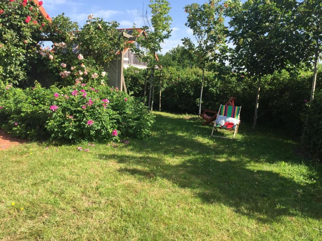 a yard with a chair sitting in the grass at Ferienhaus 'Seeblick 39' in Glücksburg
