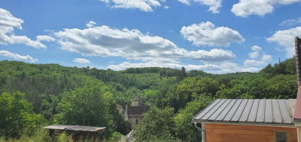 a view of a mountain with trees and a building at La maison de Coq-licot ! in Salignac Eyvigues