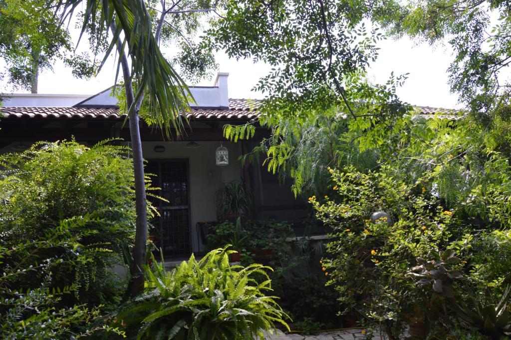 Zahrada ubytování B&B Cinque Stelle Salento