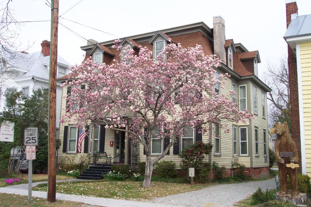 a flowering tree in front of a house at Meadows Inn in New Bern