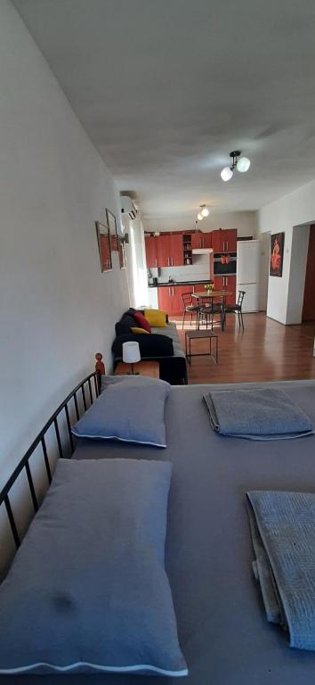 a living room with blue pillows on a couch at Apartman Dejanović 1 in Veliko Gradište