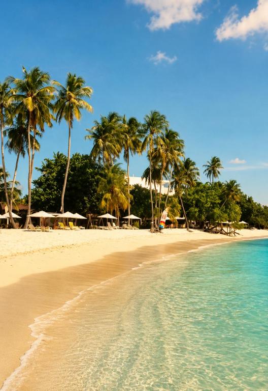 a beach with palm trees and the ocean at Samura Panorama Guest House in Thulusdhoo