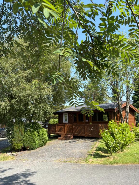 a cabin in the middle of a yard with trees at Fernleys Place in Trawsfynydd