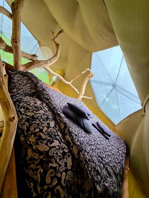 a room with a bed with a canopy and a window at Kupolinis namelis Miško Pašvaistėje in Balneliškiai
